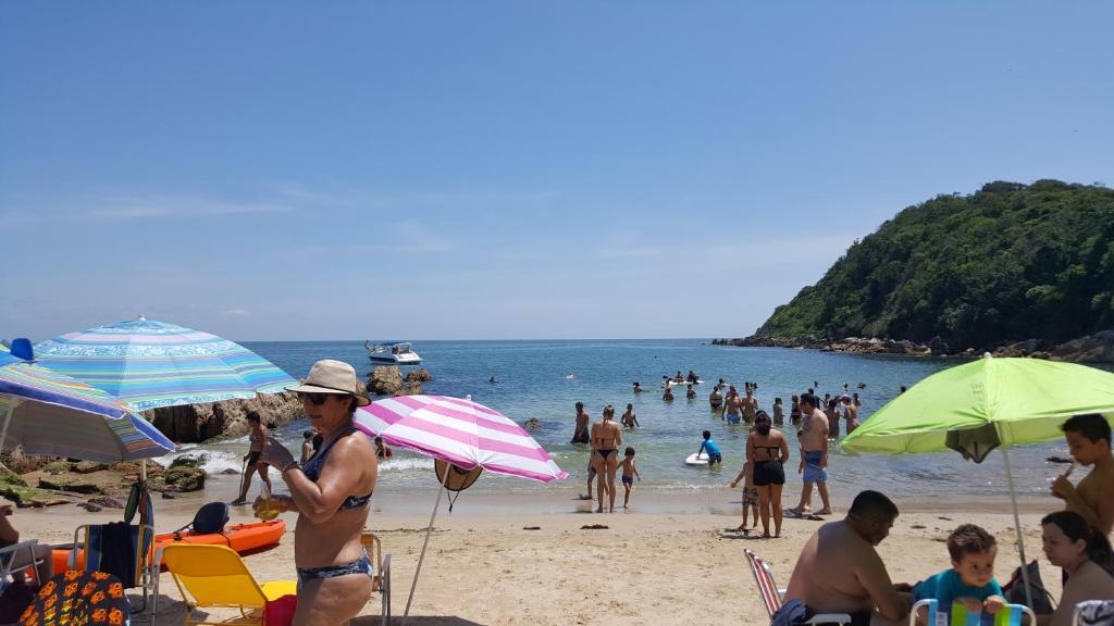 Vicentin