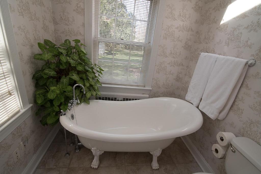 Stafford House Bed & Breakfast - Sala Regina
