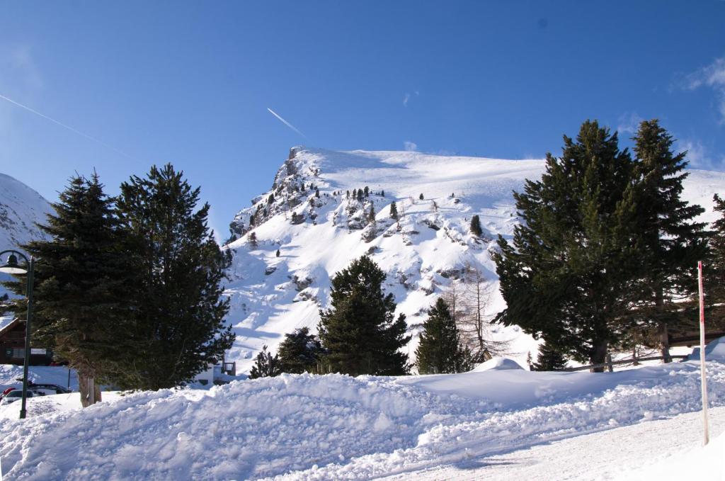 Falkert-Hütte „Beim Almöhi" v zimě