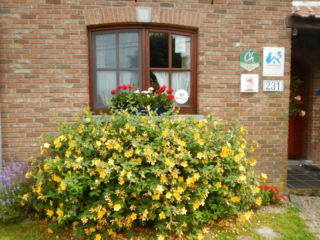 Un jardín fuera de La Chrysalide