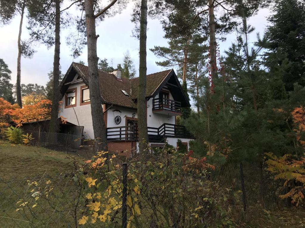 uma pequena casa branca na floresta em Dom Pod Sosnami em Mielno