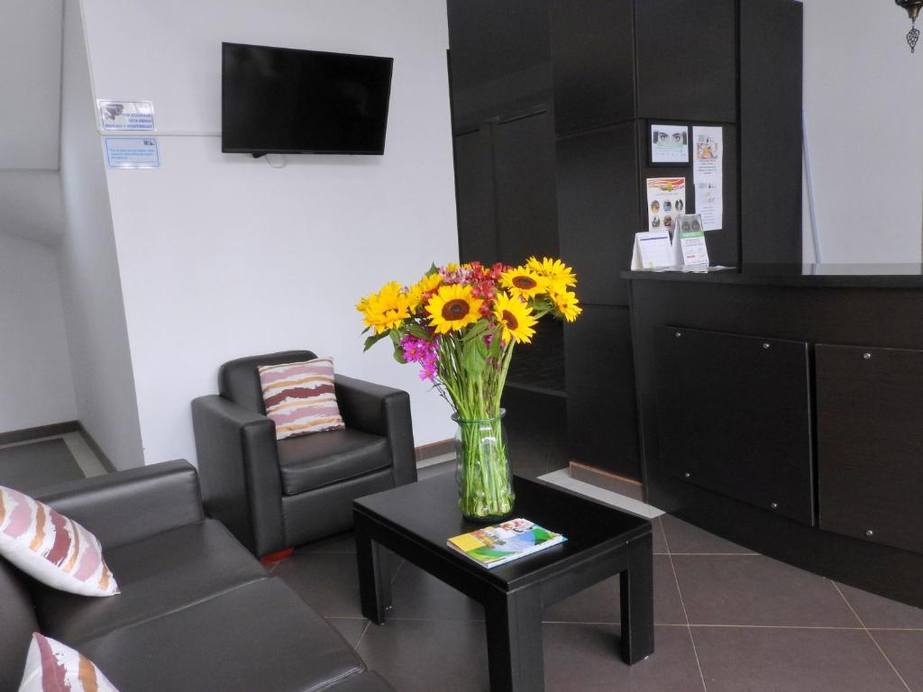 TV a/nebo společenská místnost v ubytování Hotel Portal de los Andes