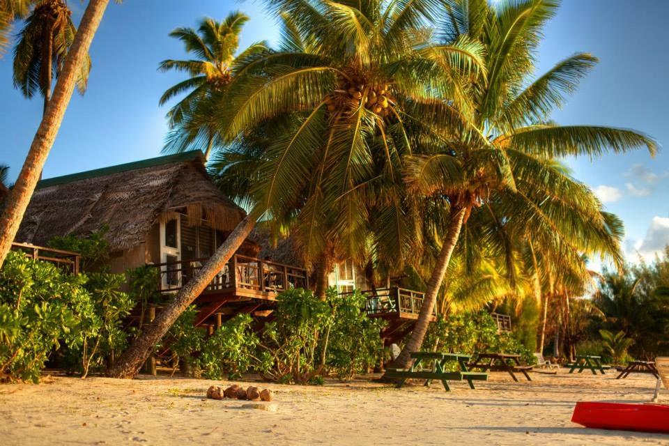 une maison sur la plage avec deux palmiers dans l'établissement Paradise Cove Lodge, à Arutanga