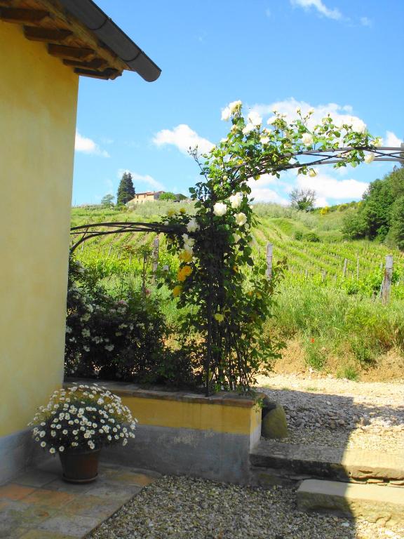Zahrada ubytování Il Cielo Bio - Il più piccolo B&B del Chianti