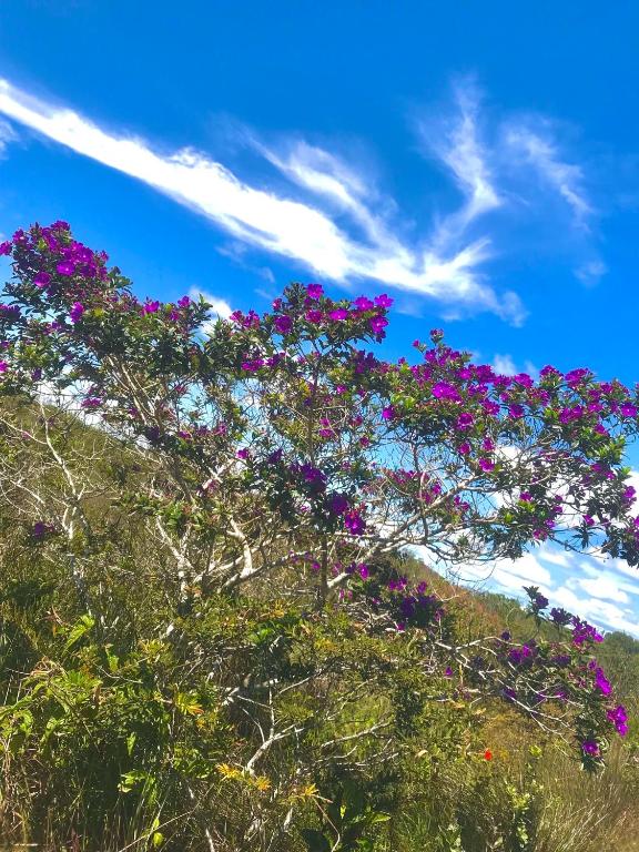  Casa Verde na Chapada Diamantina
