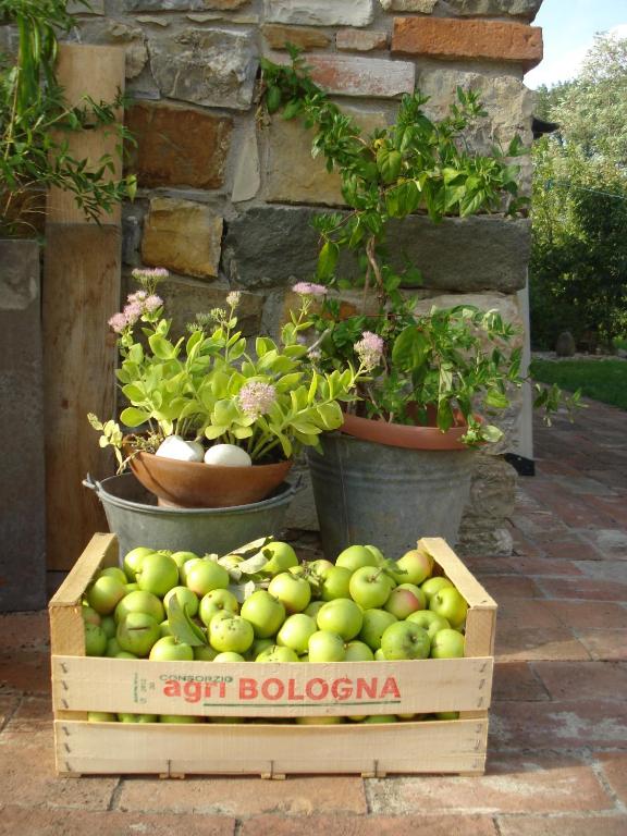 Fotografie z fotogalerie ubytování Il Cielo Bio - Il più piccolo B&B del Chianti v destinaci Greve in Chianti
