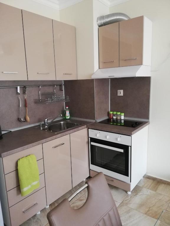 Kuchyň nebo kuchyňský kout v ubytování Apartamenti Zhelezovi