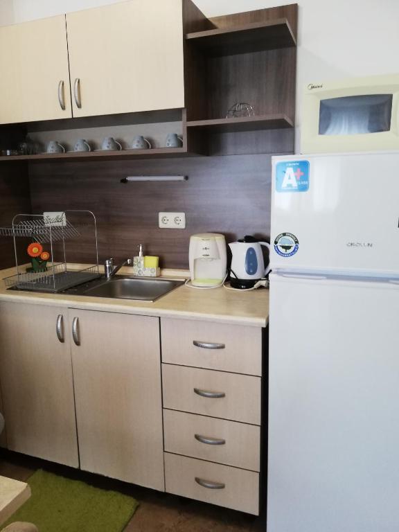 Kuchyň nebo kuchyňský kout v ubytování Apartamenti Zhelezovi