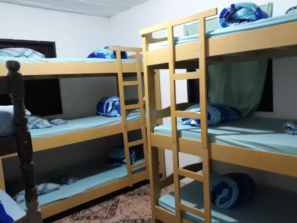  Live Hostel