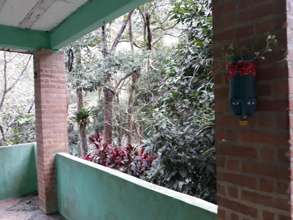  Live Hostel