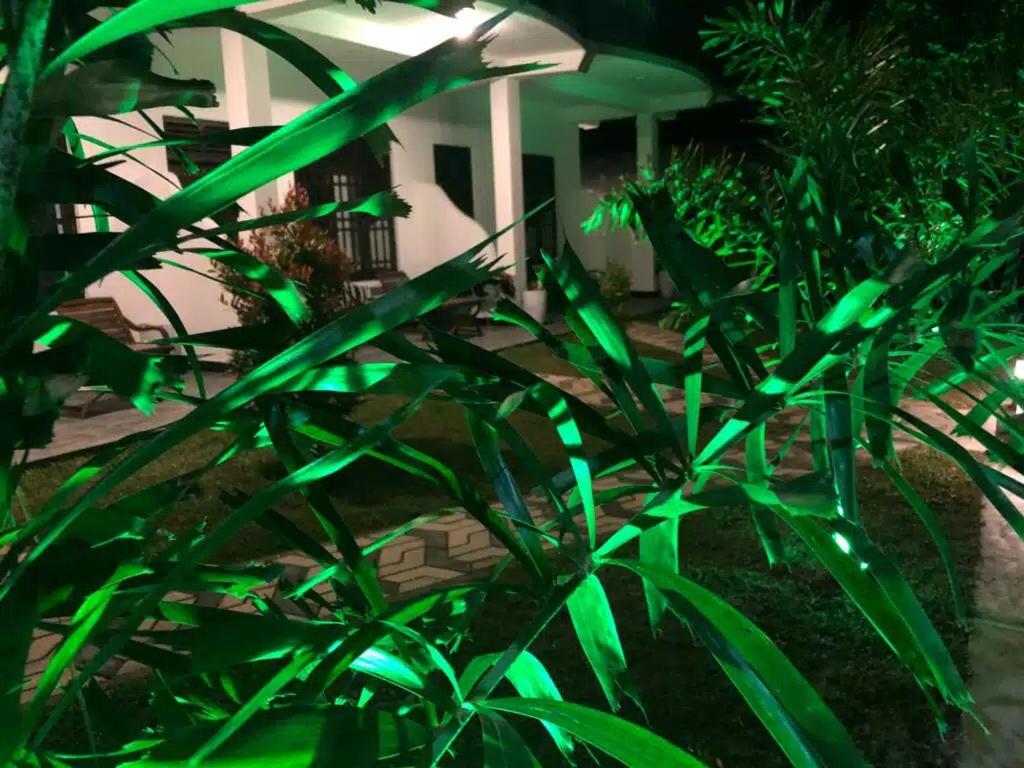 Giardino di skyresort