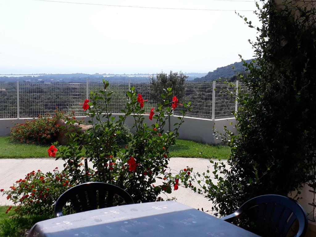 een tafel en stoelen in een tuin met rode rozen bij f3 vue mer et montagne in Ventiseri