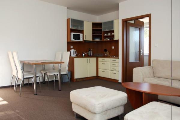 Kuchyň nebo kuchyňský kout v ubytování Lovely apartment in the heart of Tatranska Strba