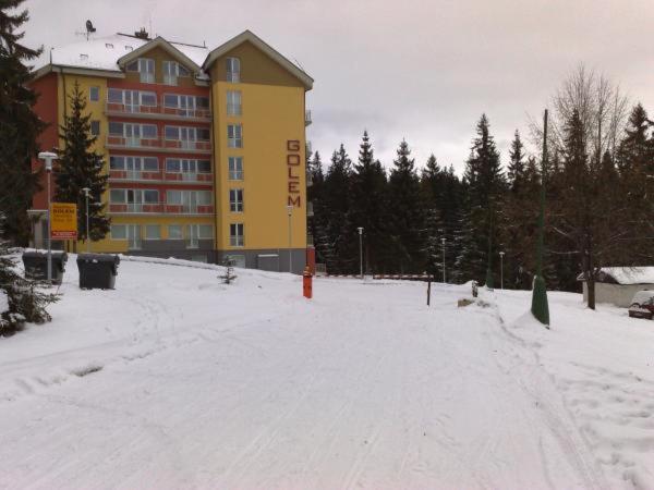Lovely apartment in the heart of Tatranska Strba v zimě
