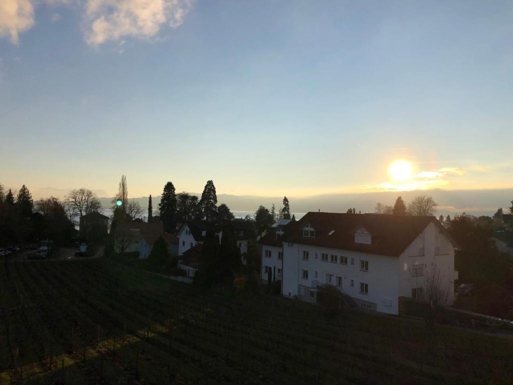 a house on a hill with the sunset in the background at Ferienwohnungen Weingut Deufel in Lindau