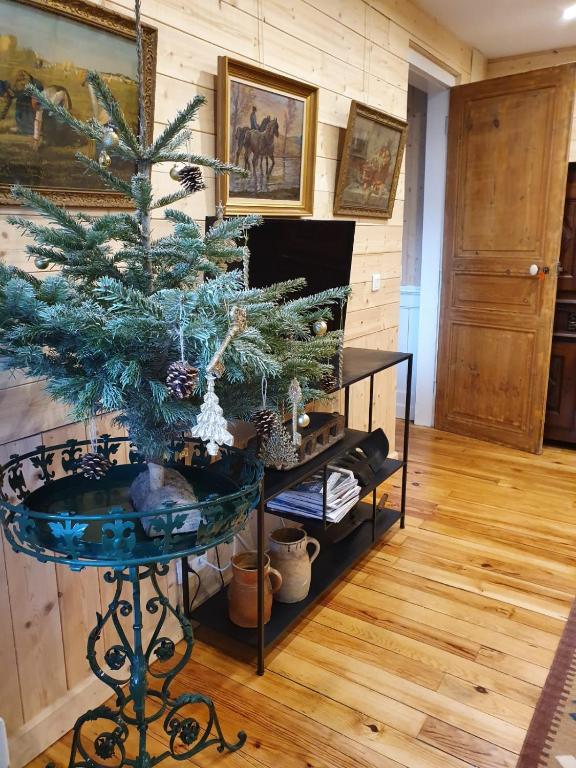 TV a/nebo společenská místnost v ubytování LE 41 AVENUE FOCH