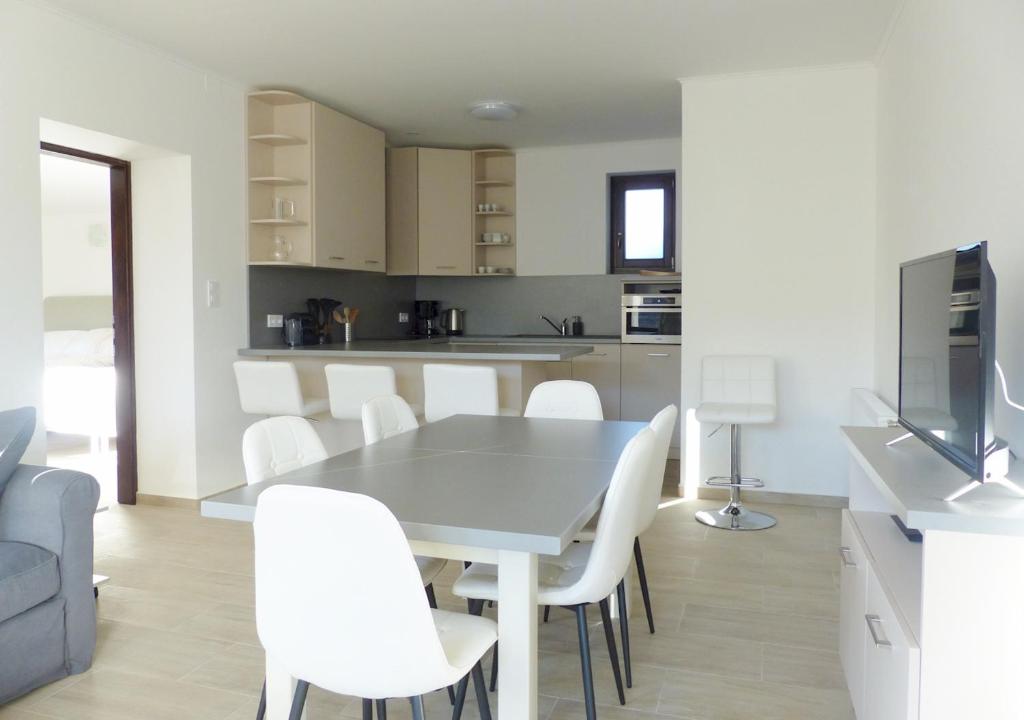 Kuchyň nebo kuchyňský kout v ubytování Guest House Magyarlukafa