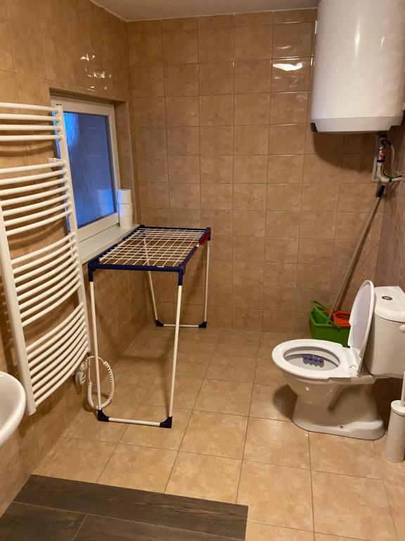 Koupelna v ubytování Apartmány Viktorka