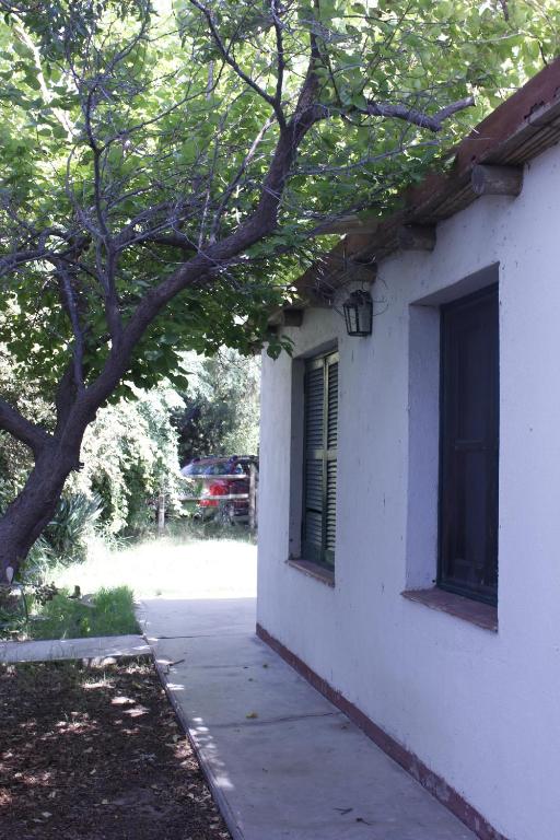 a white house with a tree next to a sidewalk at Cabaña en Olivar Centenario Agroecológico Tutuna in Pocito