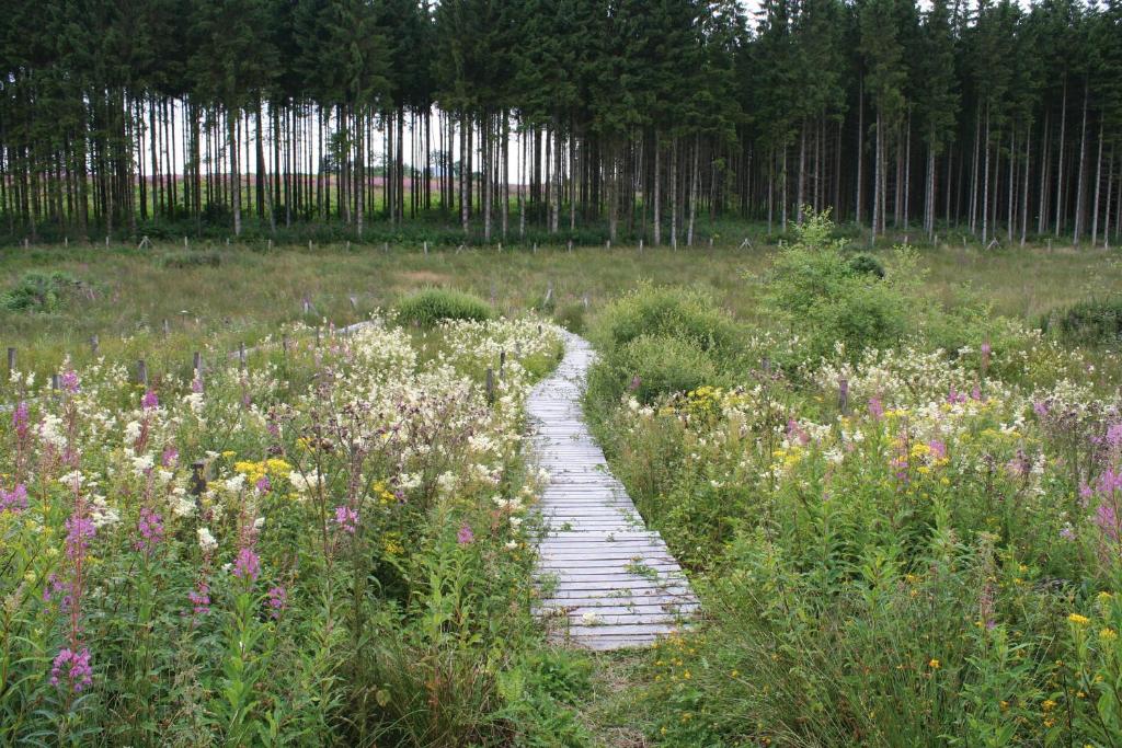 Zahrada ubytování Hotel Wemperhardt