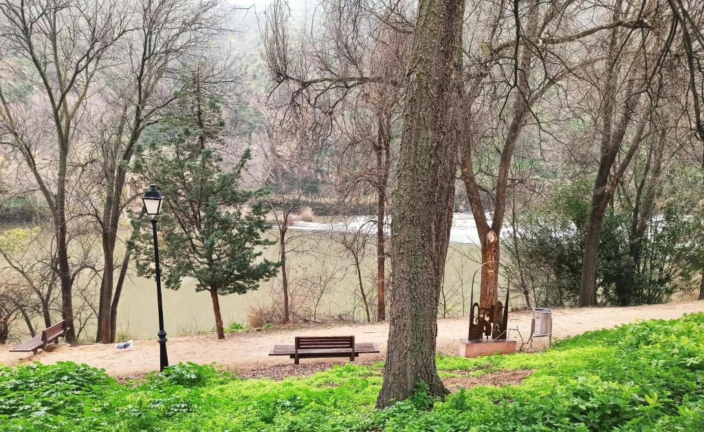 El Muro de Piedra - 16