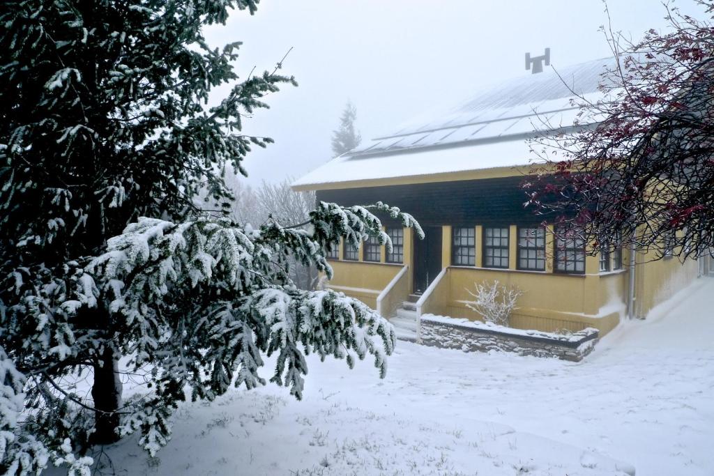 una casa cubierta de nieve con un árbol en primer plano en Casa da Serra, en Penhas da Saúde