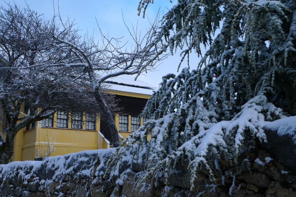 un muro di contenimento coperto di neve di fronte a un edificio giallo di Casa da Serra a Penhas da Saúde