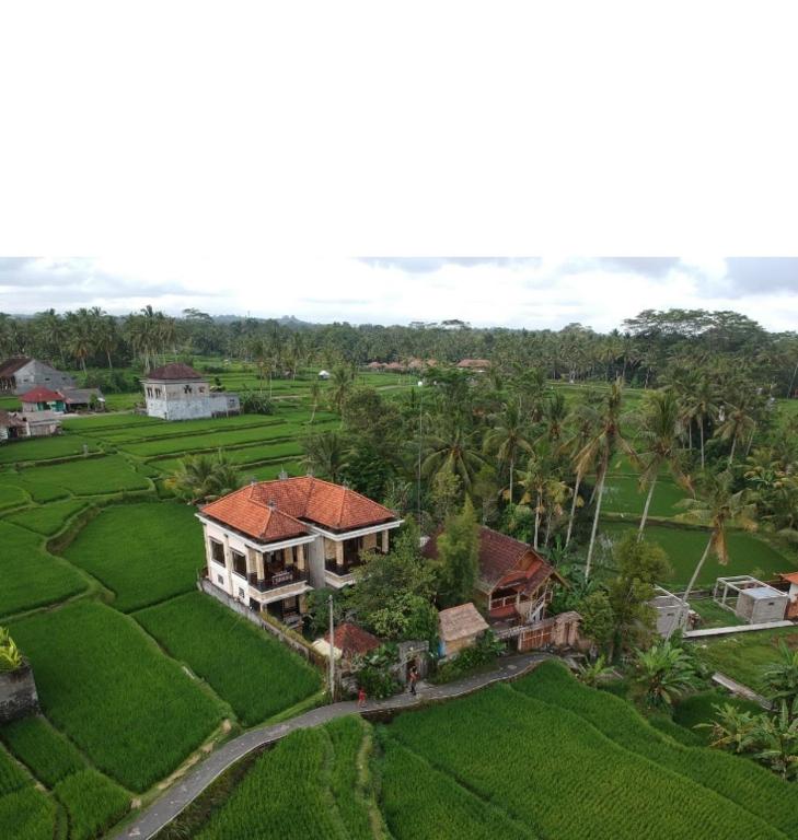 Ubud Sawah Scenery Villa and Homestay - 1