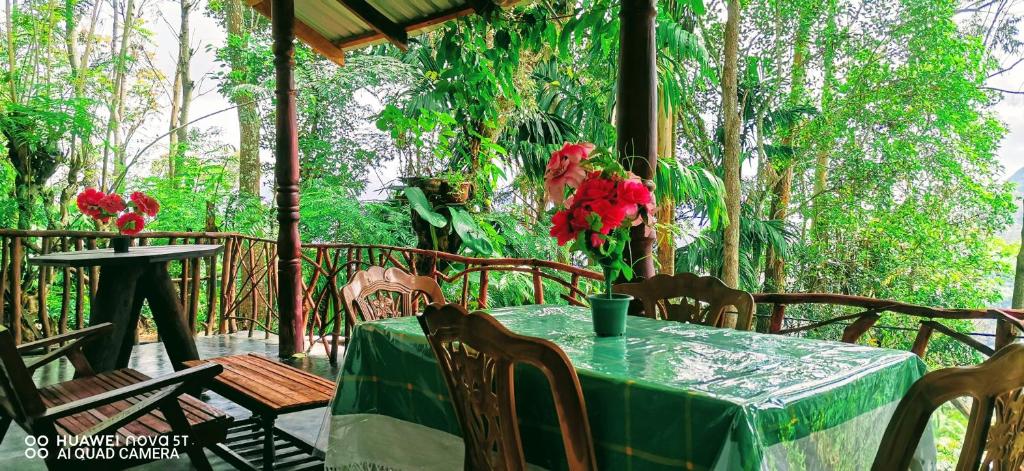 Zahrada ubytování Dulmini Homestay