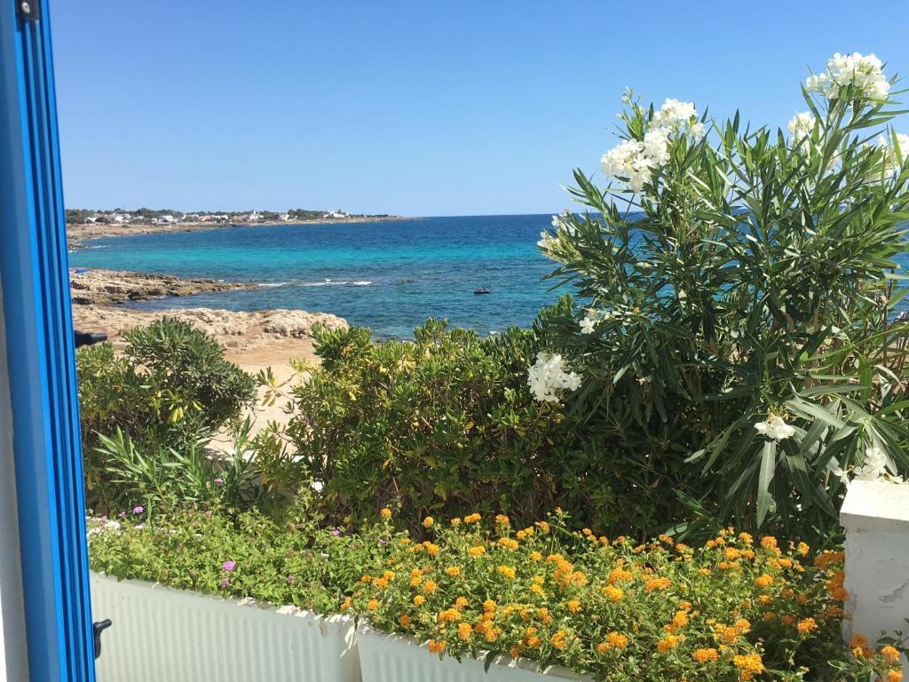 Blick auf das Meer von einem Garten mit Blumen in der Unterkunft Casa Direttamente sul mare in Marina di Mancaversa