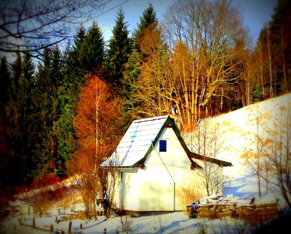 a small white house in the snow with trees at Dziewięćsił-domek w górach in Duszniki Zdrój