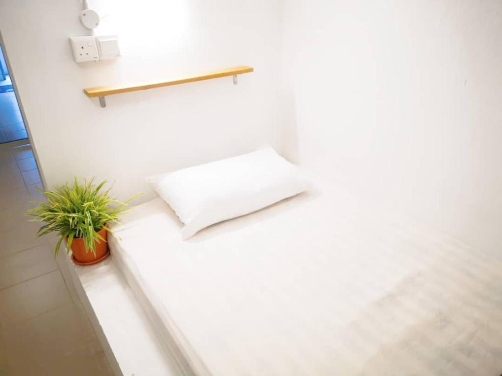 a white counter with a pillow and a plant on it at Sunset Homestay - Backpacker Hostel Self Checkin in Kuching