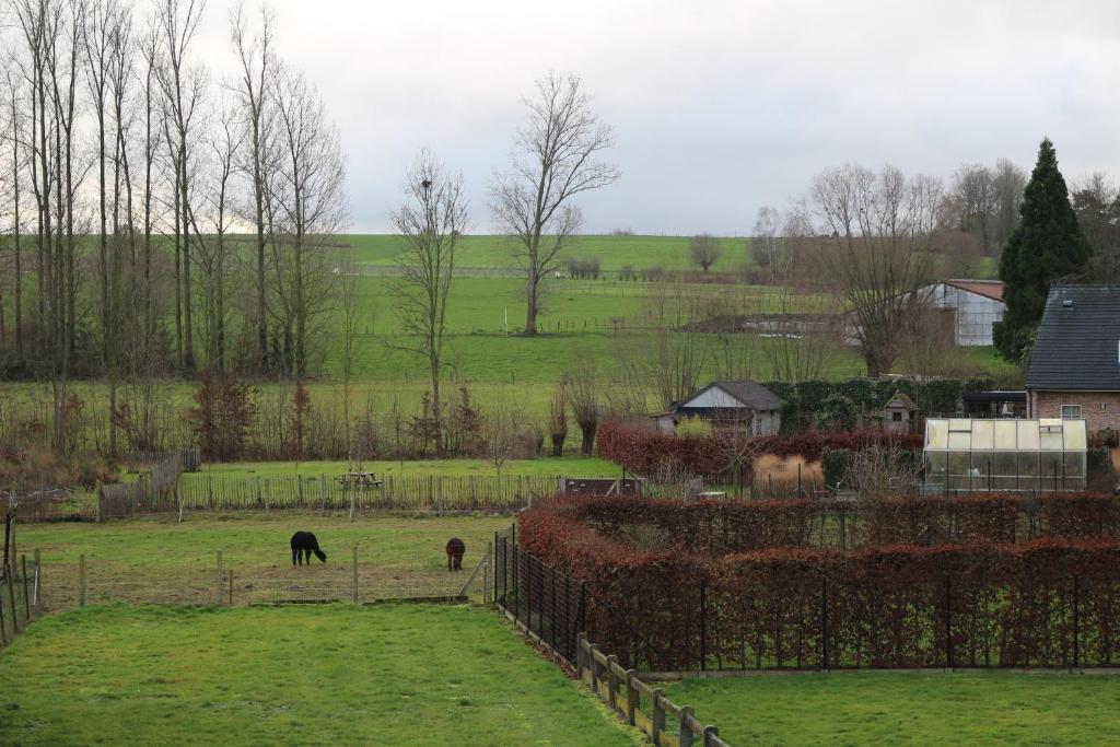Zahrada ubytování B&B Den Boskant