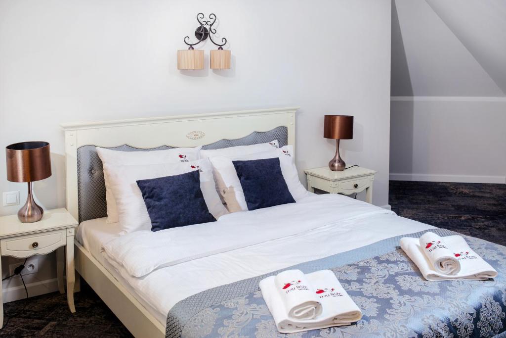 Hotel Trzy Róze - Resim 10