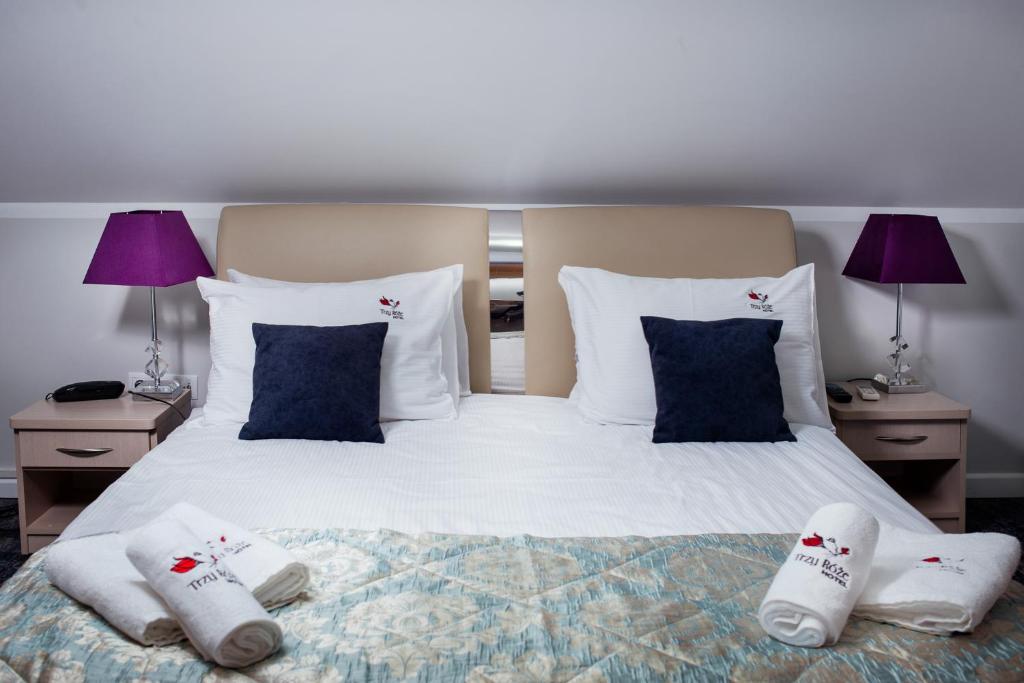 Hotel Trzy Róze - Resim 18