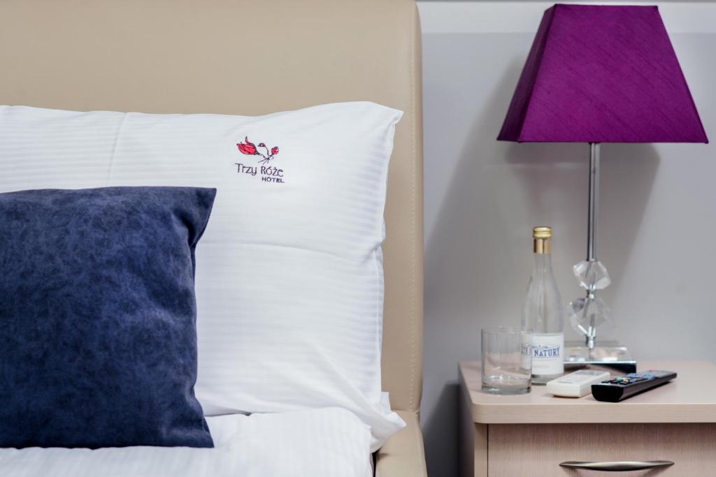 Hotel Trzy Róze - Resim 20