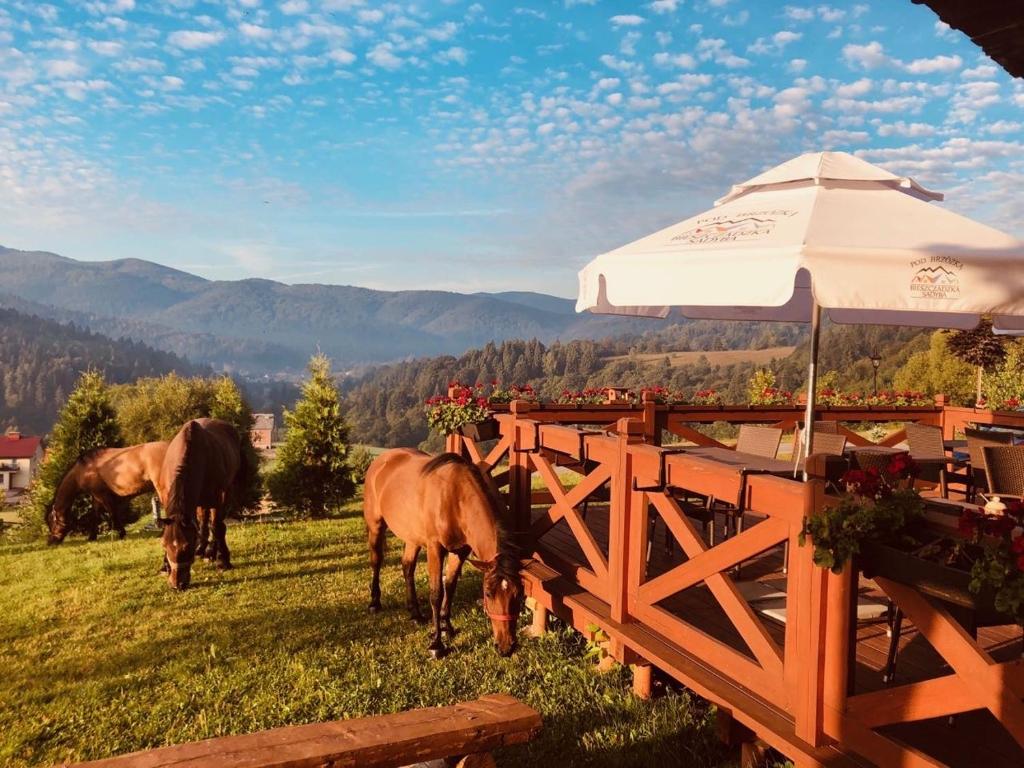 Nespecifikovaný výhled na hory nebo výhled na hory při pohledu z bed and breakfast