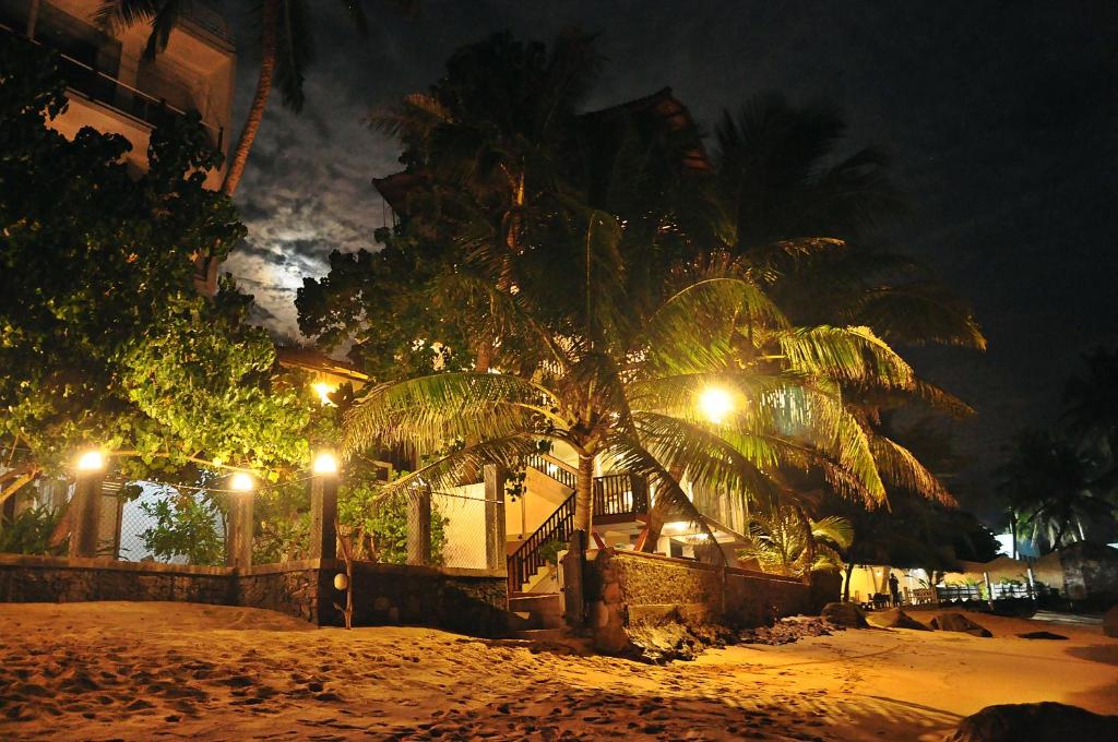 a palm tree in front of a house at night at La Veranda Di Serena in Unawatuna