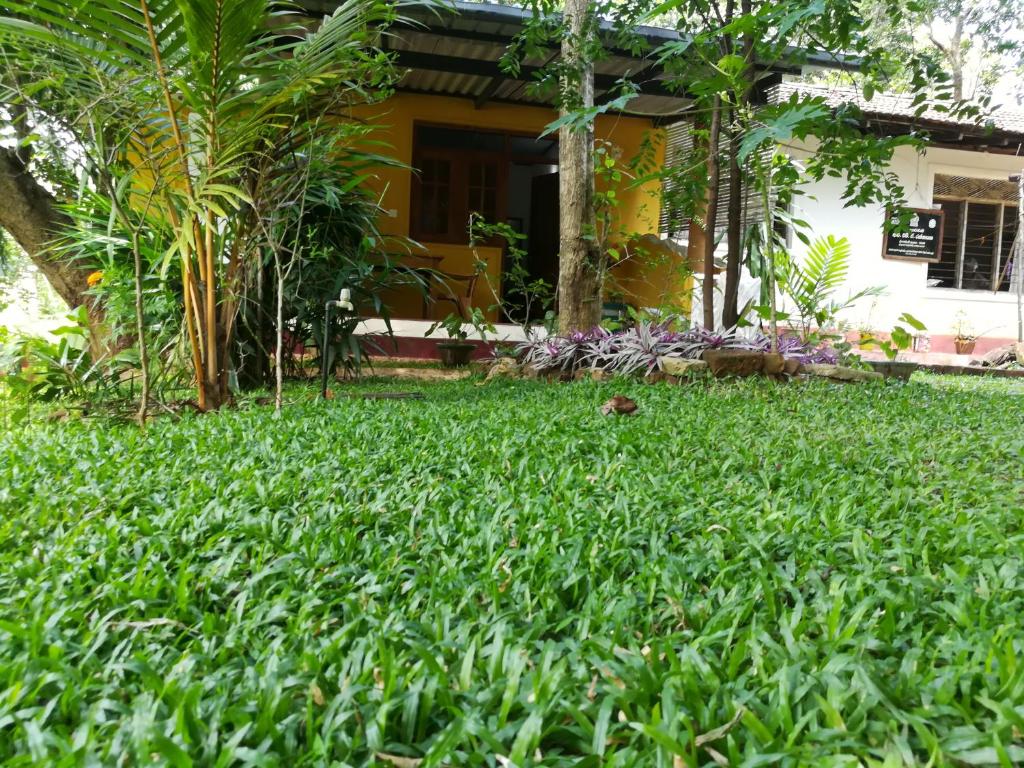 Zahrada ubytování Sigiri Neo Homestay