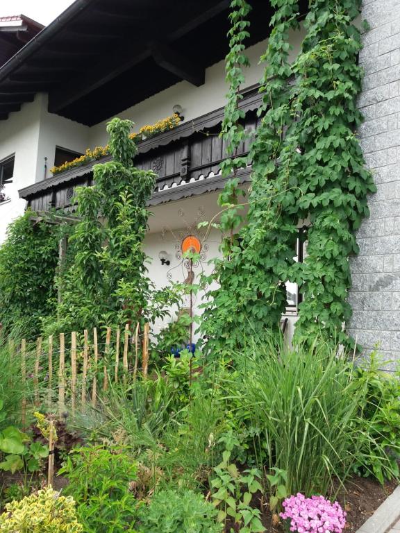 a garden with ivy on the side of a building at Ferienwohnung Gegenfurtner in Böbrach