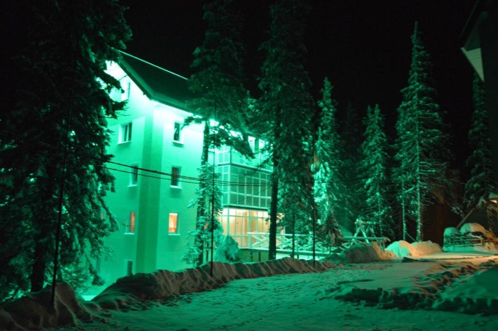 Zahrada ubytování Zelena Dacha