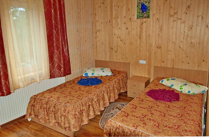 Postel nebo postele na pokoji v ubytování Zelena Dacha