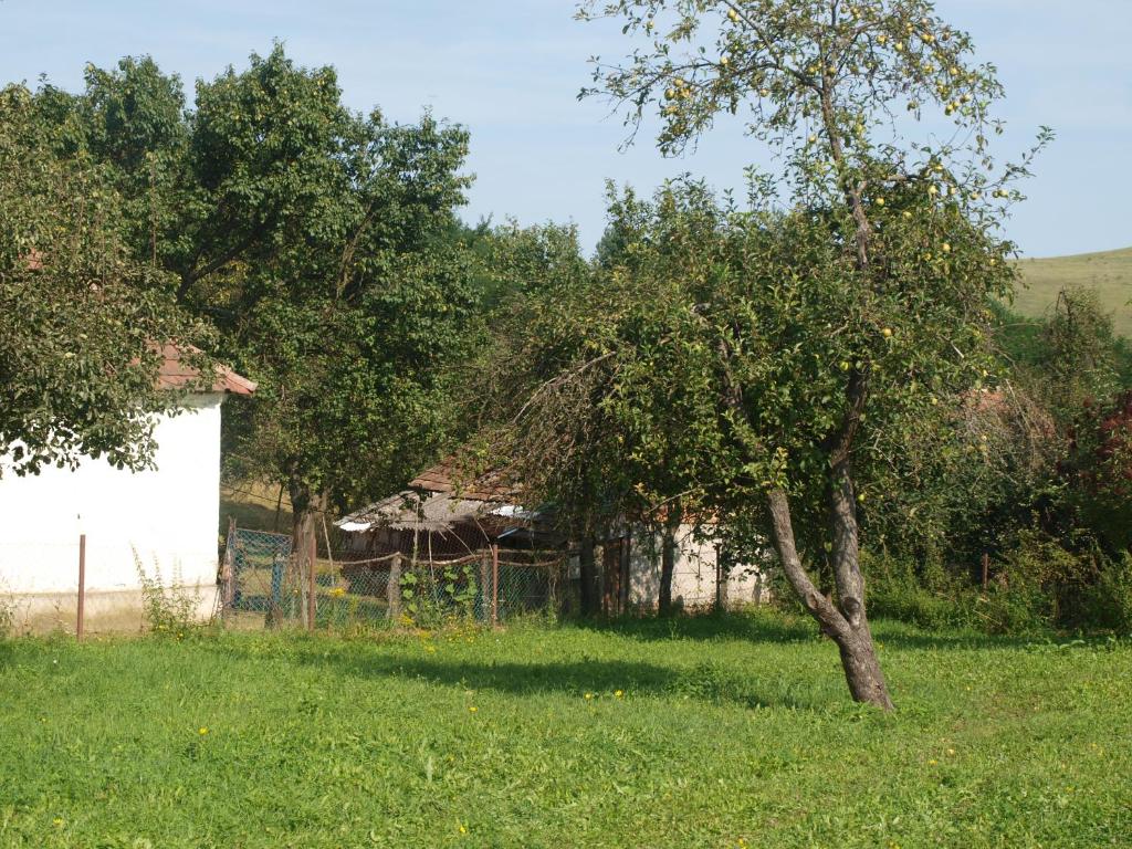 Vonkajšia záhrada v ubytovaní Rozsa Haz