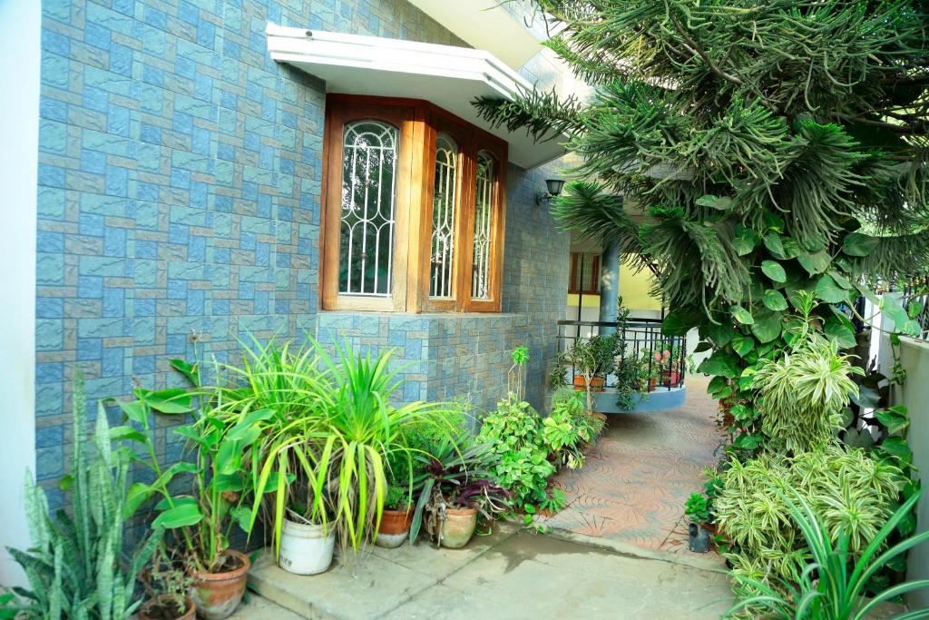 Zahrada ubytování ZuriEL Suite GUEST HOUSE