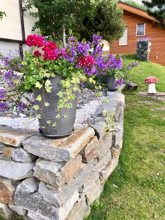 Zahrada ubytování Relax - Haus Swiss