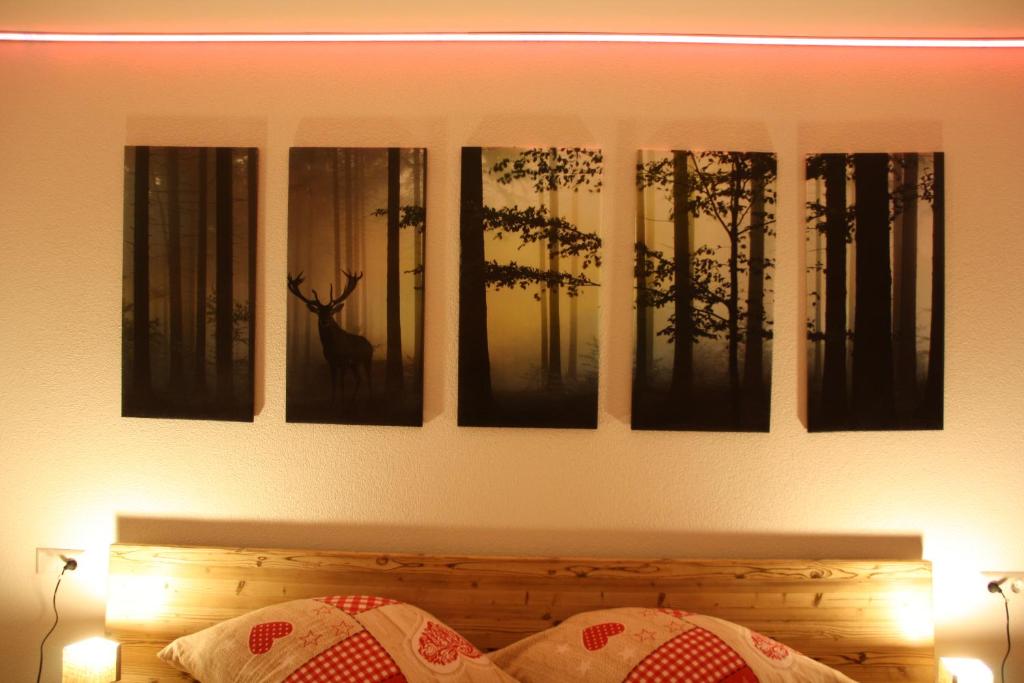 Fotografie z fotogalerie ubytování Ferienwohnungen Rebstock v destinaci Schonach