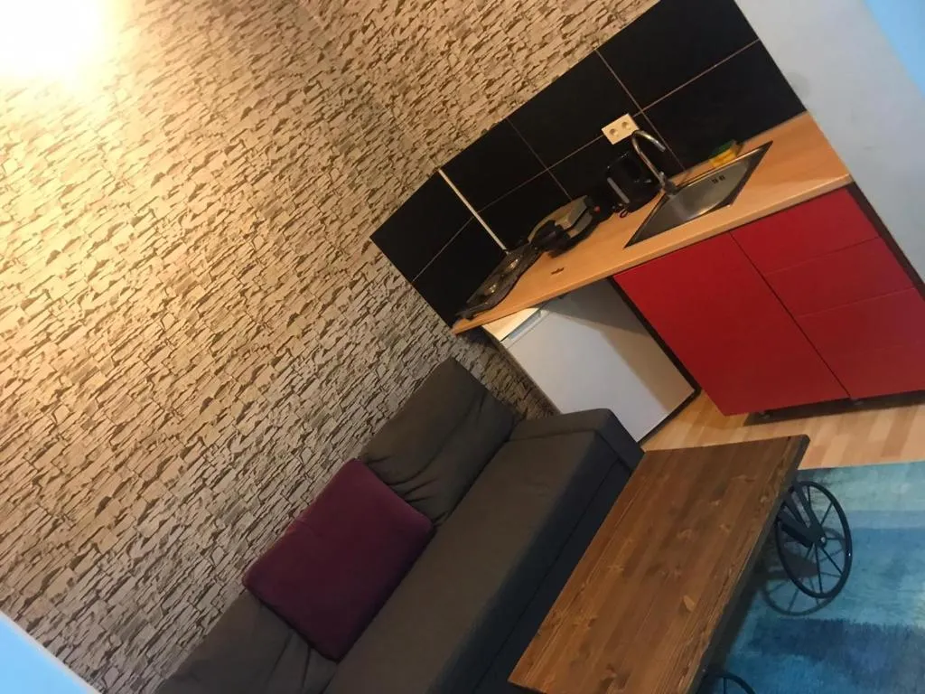hygienic budget accommodation central 40 50 square meters with garden, Istanbul, Turkey