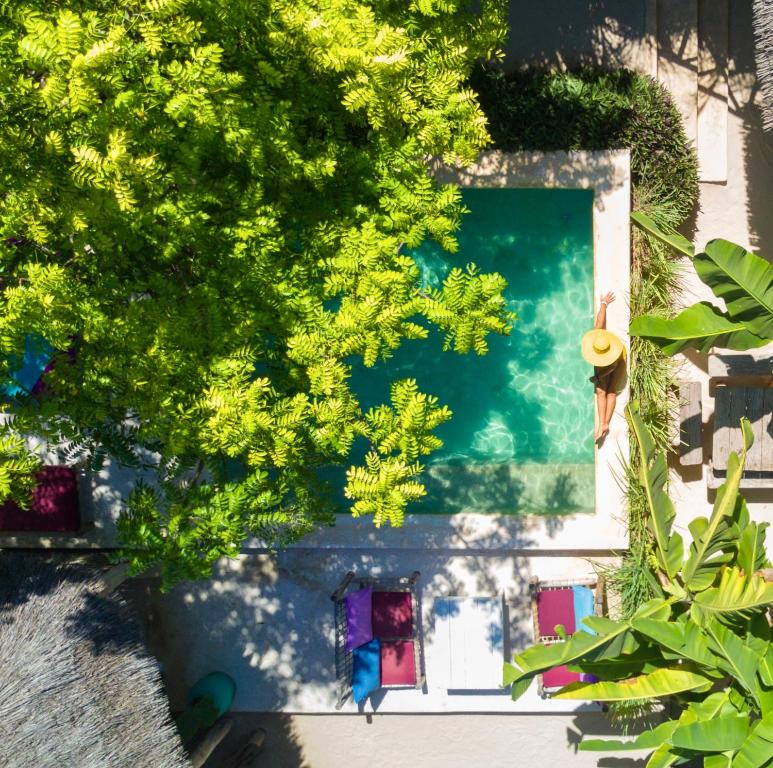 an overhead view of a swimming pool with trees at Zanzistar Lodge in Jambiani