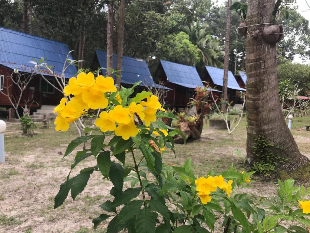 Zahrada ubytování Koh Jum Delight Beach