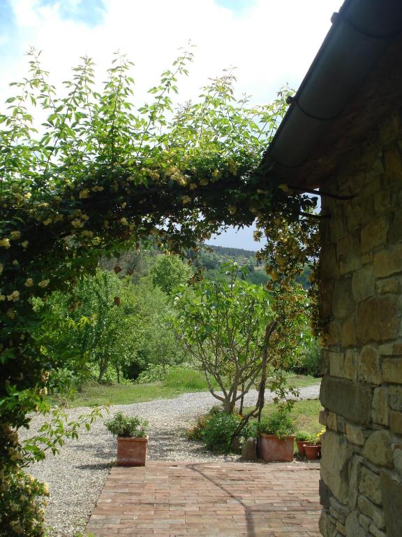Zahrada ubytování Il Cielo Bio - Il più piccolo B&B del Chianti